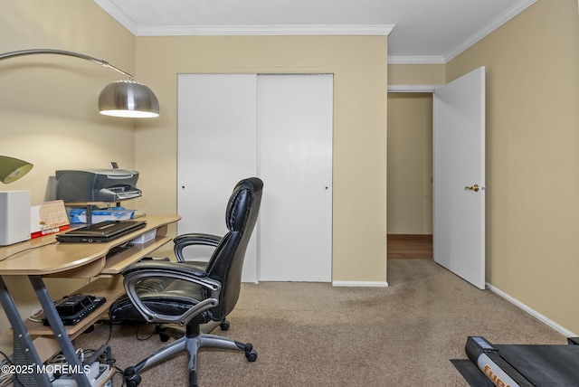 office featuring ornamental molding, carpet flooring, and baseboards