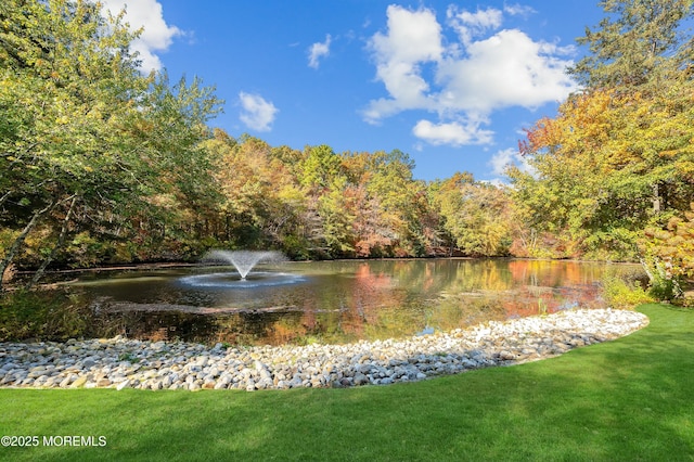 view of water feature featuring a view of trees