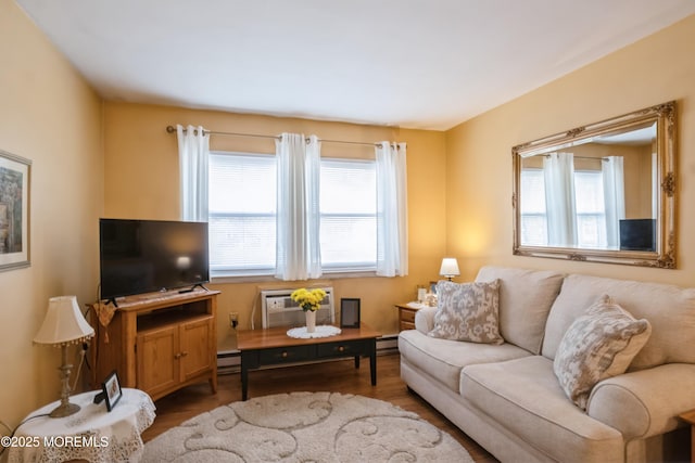 living room featuring a wealth of natural light, an AC wall unit, and wood finished floors