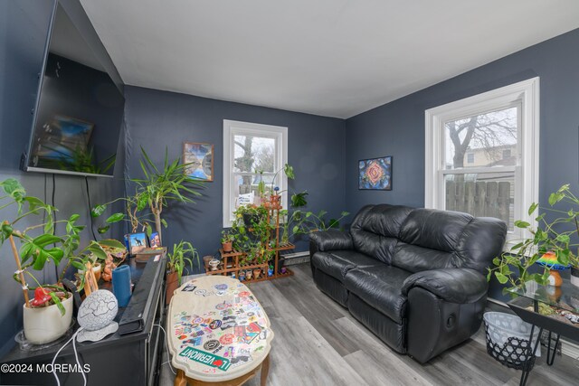 living room with wood finished floors