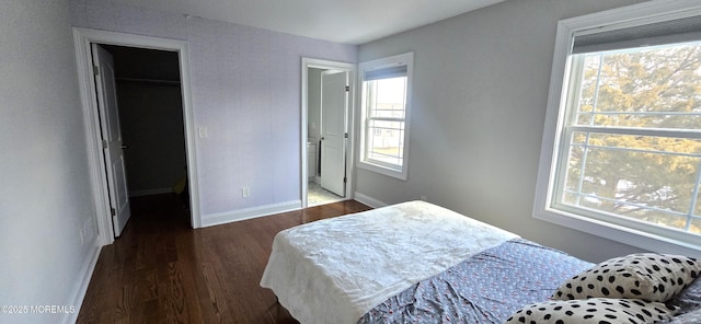 bedroom with a spacious closet, a closet, wood finished floors, and baseboards