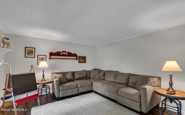 living area featuring wood finished floors and crown molding