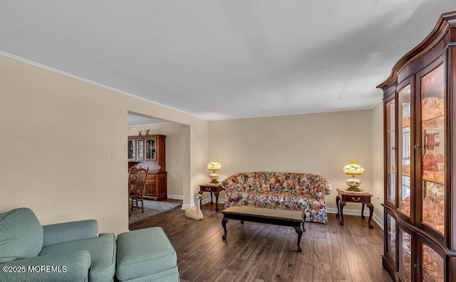 living room featuring baseboards and wood-type flooring