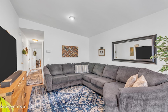 living area featuring wood finished floors