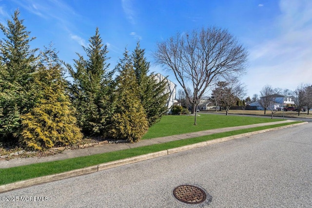 view of street with curbs and sidewalks