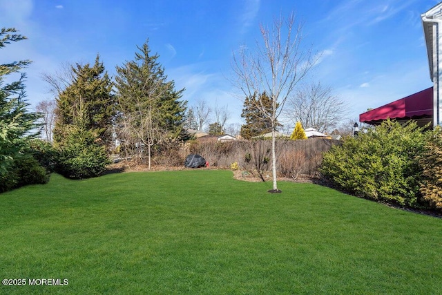 view of yard featuring fence