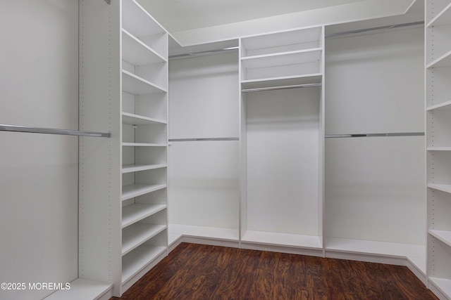 walk in closet featuring wood finished floors