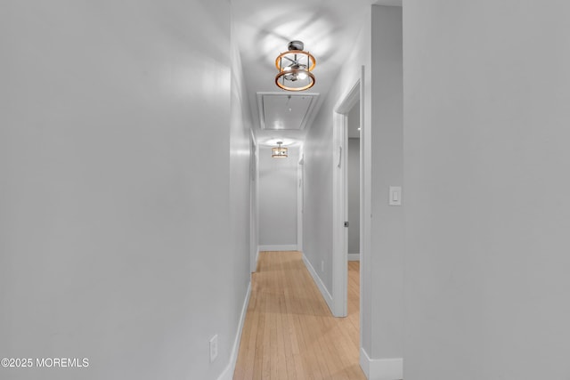 corridor featuring light wood-type flooring, baseboards, and attic access