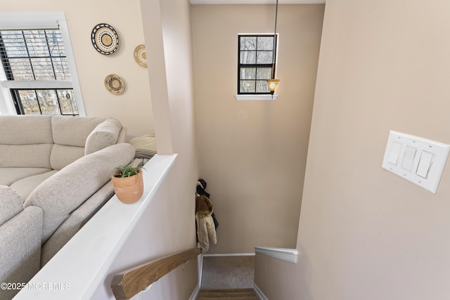 living area featuring baseboards, plenty of natural light, and carpet