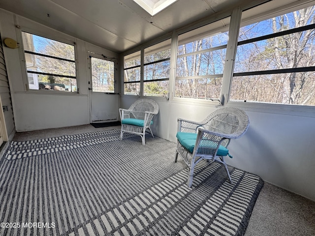 sunroom with a skylight