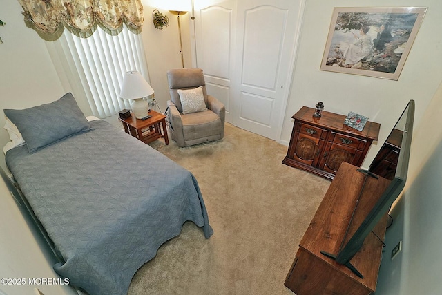 bedroom featuring carpet floors