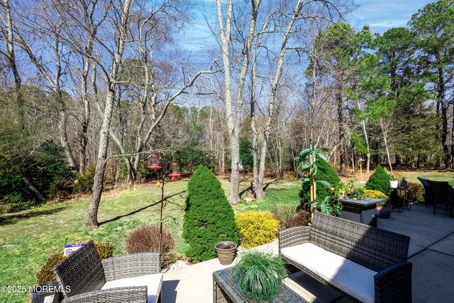 view of yard featuring a patio area