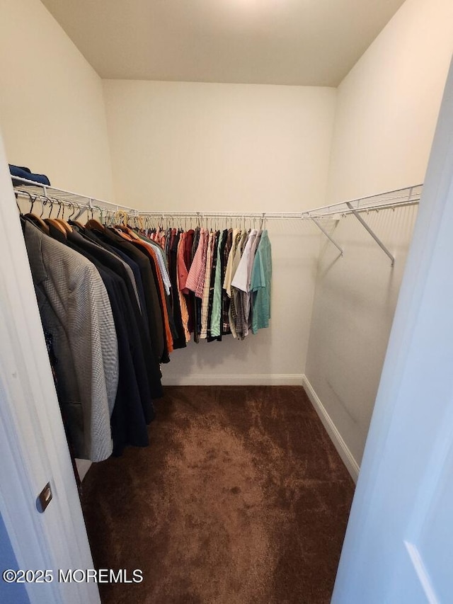 spacious closet featuring dark carpet