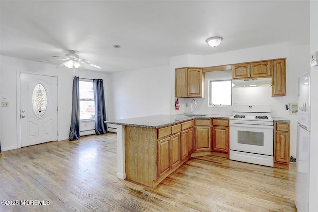 kitchen with a sink, under cabinet range hood, white appliances, a peninsula, and light wood finished floors