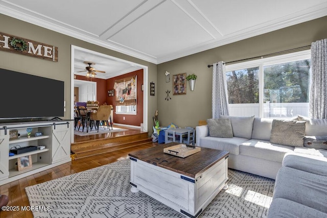 living area featuring ceiling fan, wood-type flooring, and ornamental molding