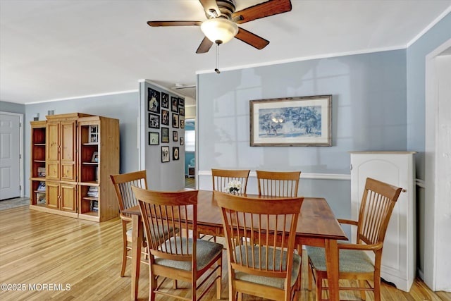 dining space featuring light wood finished floors, ceiling fan, and ornamental molding