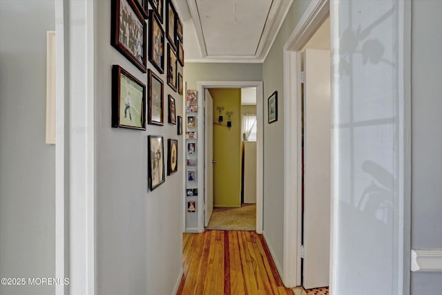 hall featuring light wood-type flooring, baseboards, and attic access