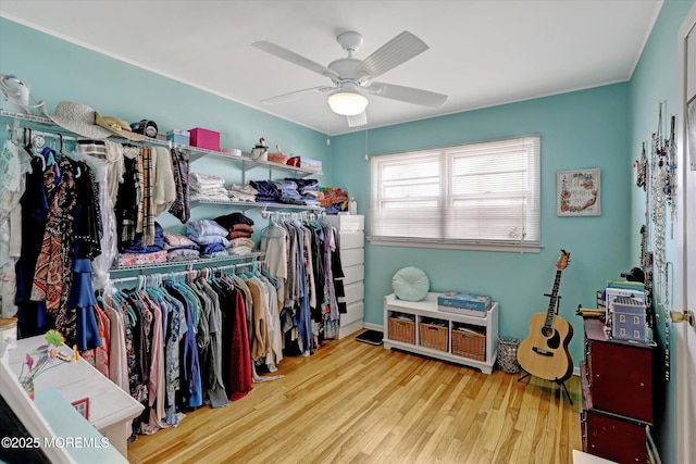 walk in closet featuring a ceiling fan and wood finished floors