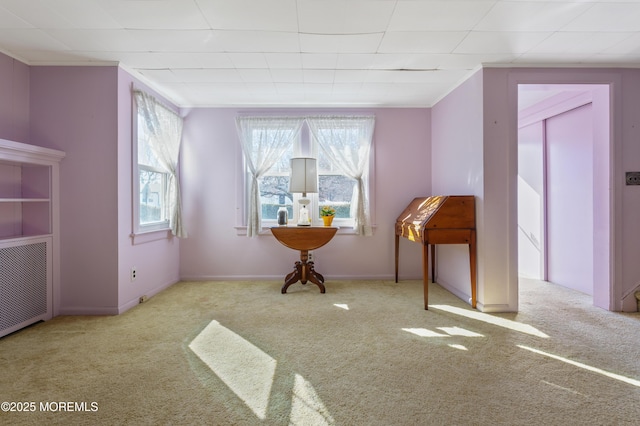 miscellaneous room with radiator and carpet