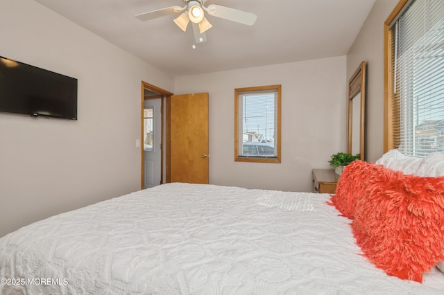 bedroom with ceiling fan