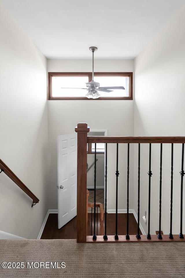 stairway with a wealth of natural light and ceiling fan