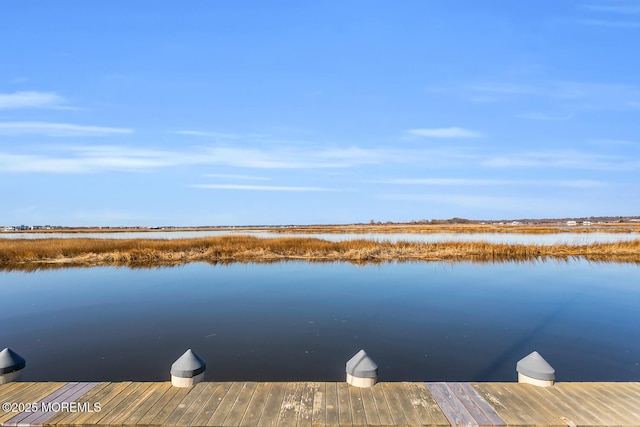 dock area featuring a water view