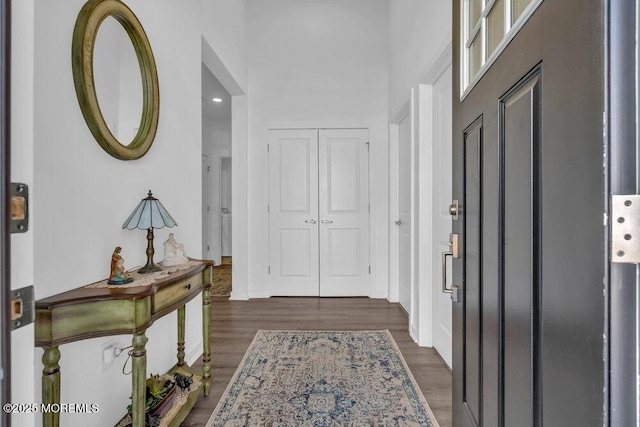 entrance foyer featuring dark wood-type flooring