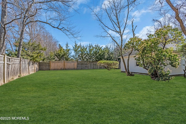 view of yard featuring a fenced backyard