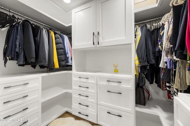 view of spacious closet