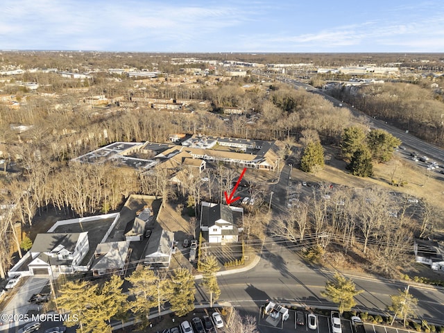 bird's eye view