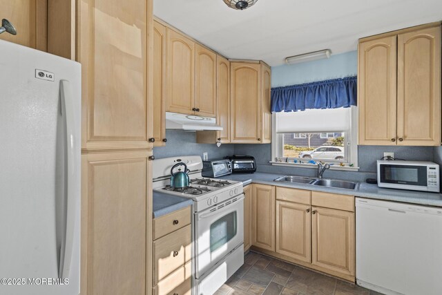 kitchen with light brown cabinets, stone finish floor, under cabinet range hood, a sink, and white appliances