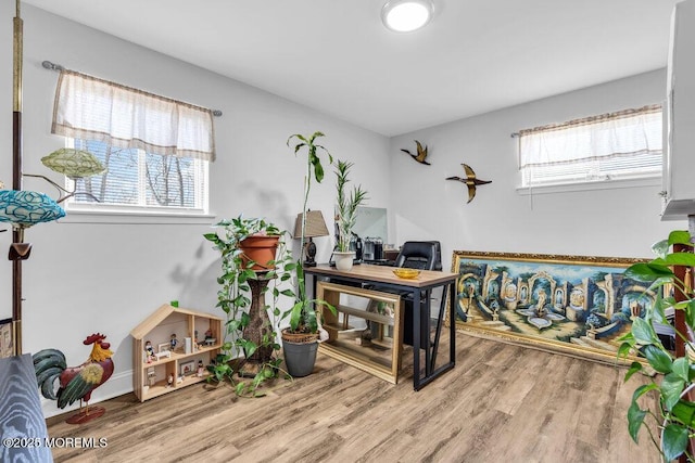 office area featuring wood finished floors