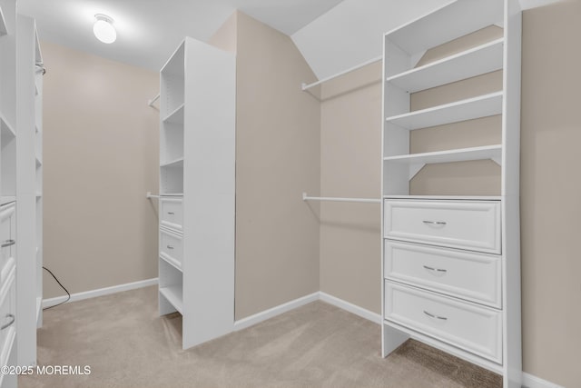 walk in closet with light colored carpet