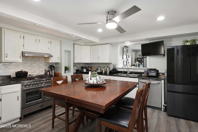 kitchen featuring wood finished floors, a sink, stainless steel appliances, under cabinet range hood, and dark countertops