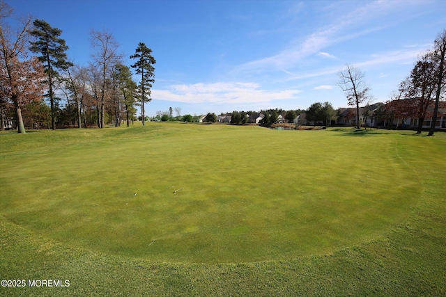 view of community featuring a lawn