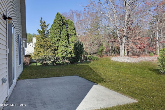 view of yard featuring a patio