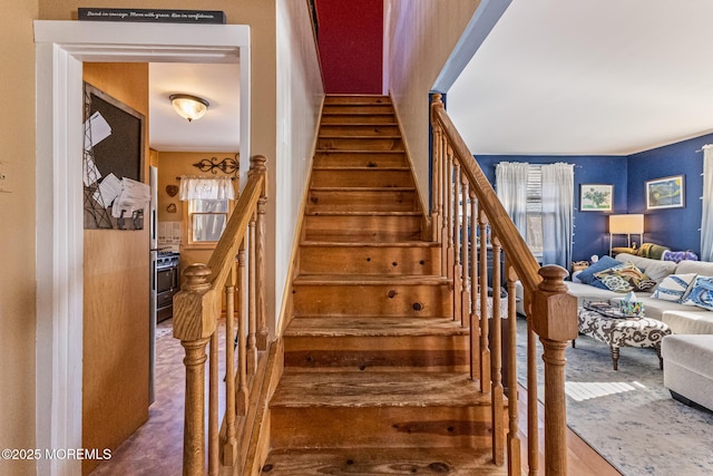 stairs featuring wood finished floors