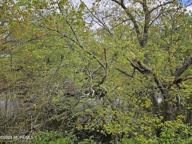 view of landscape featuring a wooded view
