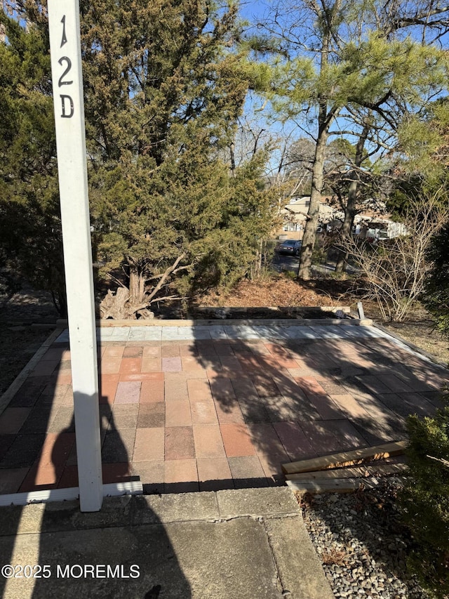 view of yard with a patio area