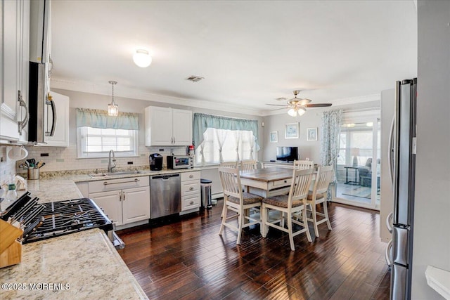 kitchen with a sink, stainless steel appliances, dark wood finished floors, and decorative backsplash