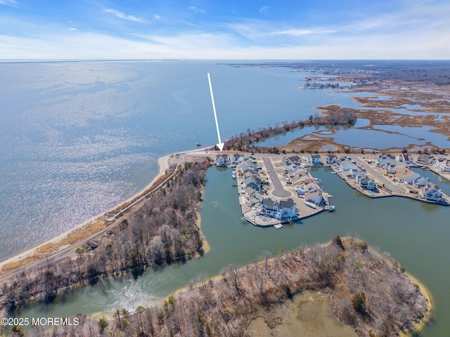 bird's eye view with a water view