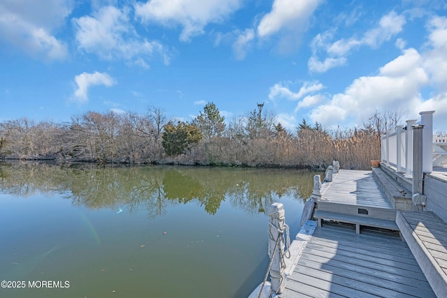 view of dock with a water view