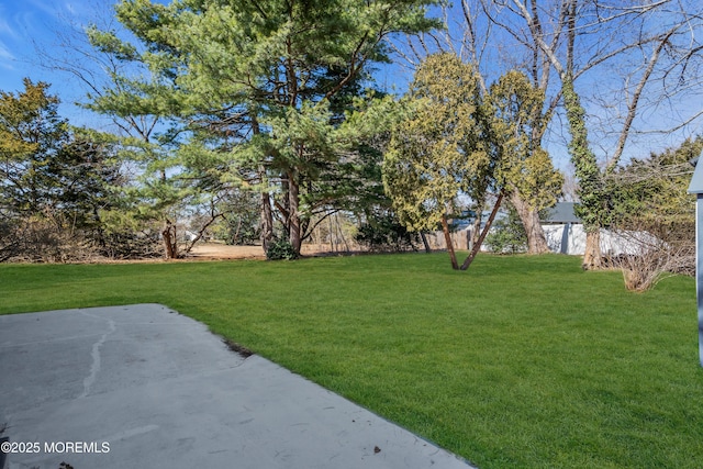 view of yard featuring a patio