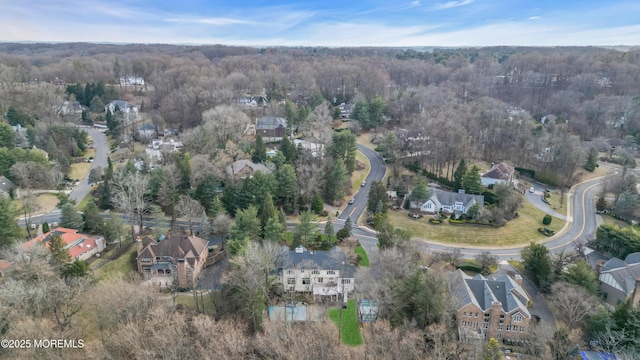 bird's eye view with a forest view