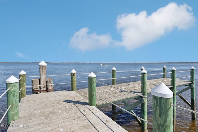 dock area featuring a water view