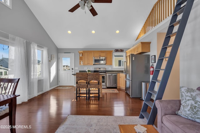 interior space with dark wood-type flooring, light brown cabinets, open shelves, and stainless steel appliances