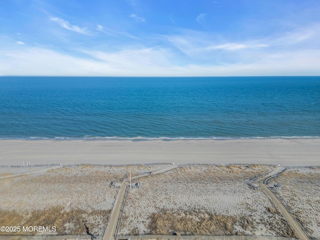 property view of water featuring a beach view