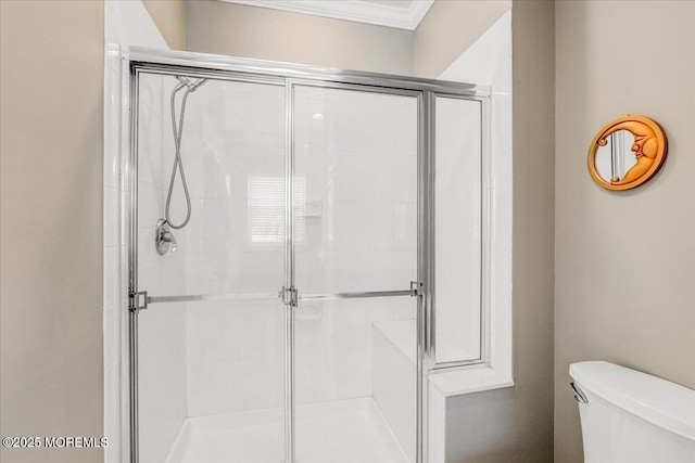 full bathroom featuring a shower stall, toilet, and crown molding