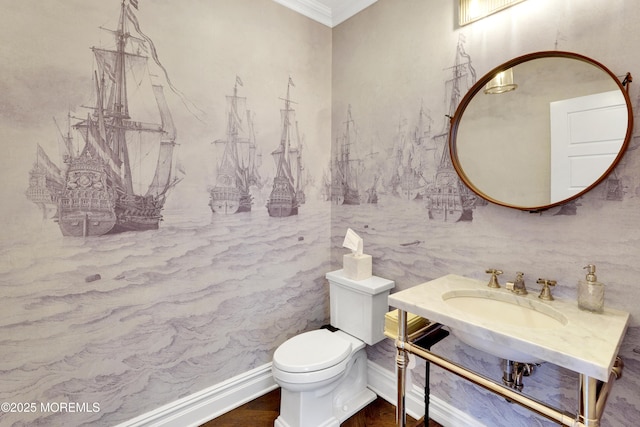 bathroom featuring crown molding, toilet, and a sink