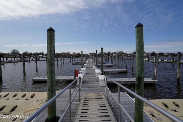 dock area with a water view